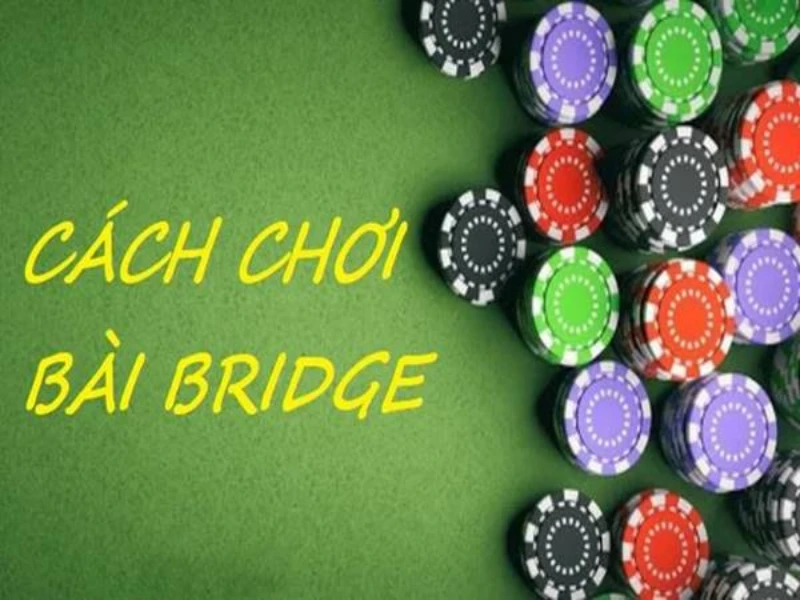 Hiểu về bài bridge giúp người chơi dễ dàng chiến thắng